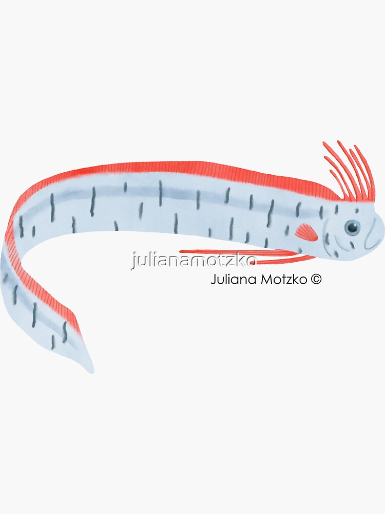 King of Herrings Fish by julianamotzko
