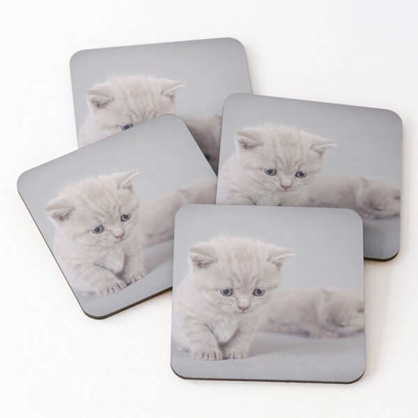 Item preview, British shorthair kitten portrait designed and sold by PetsArt.
