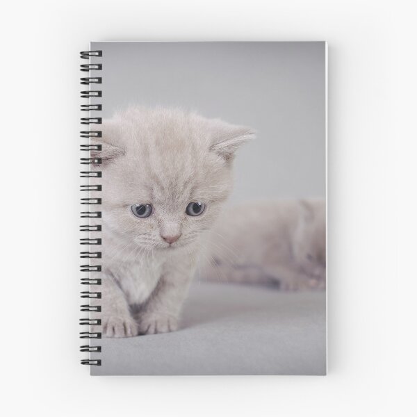Item preview, British shorthair kitten portrait designed and sold by PetsArt.