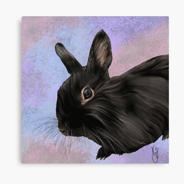 Bunny Canvas Print