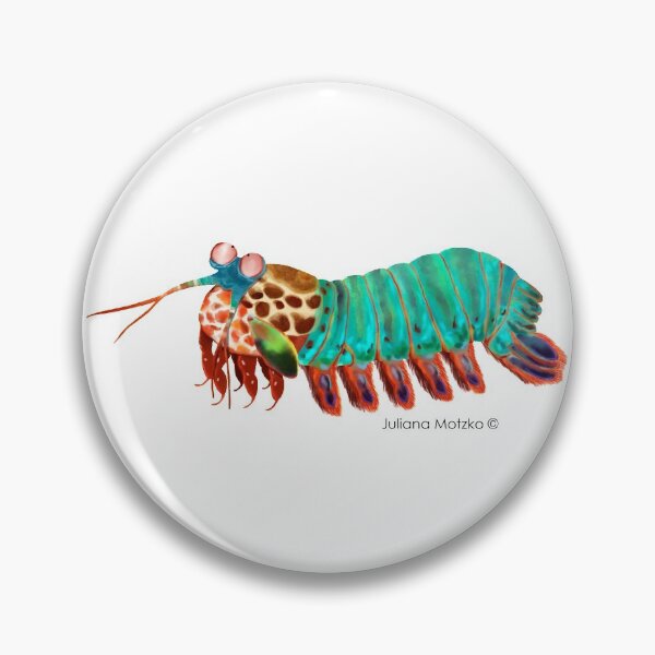 Item preview, Mantis Shrimp designed and sold by julianamotzko.