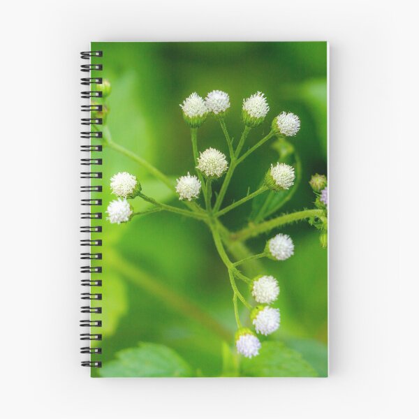 Item preview, Dreamy Dotted Flowers designed and sold by jozikphoto.