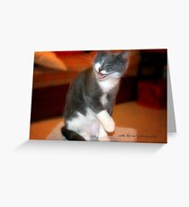 Chuckles © Vicki Ferrari Photography Greeting Card