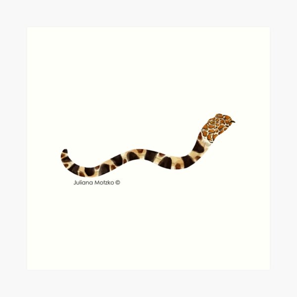 Napoleon Snake Eel Art Print