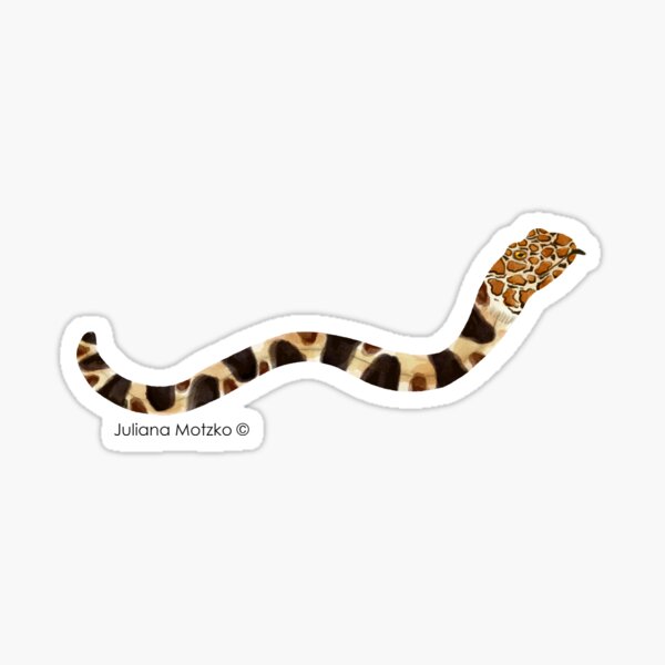 Napoleon Snake Eel Sticker