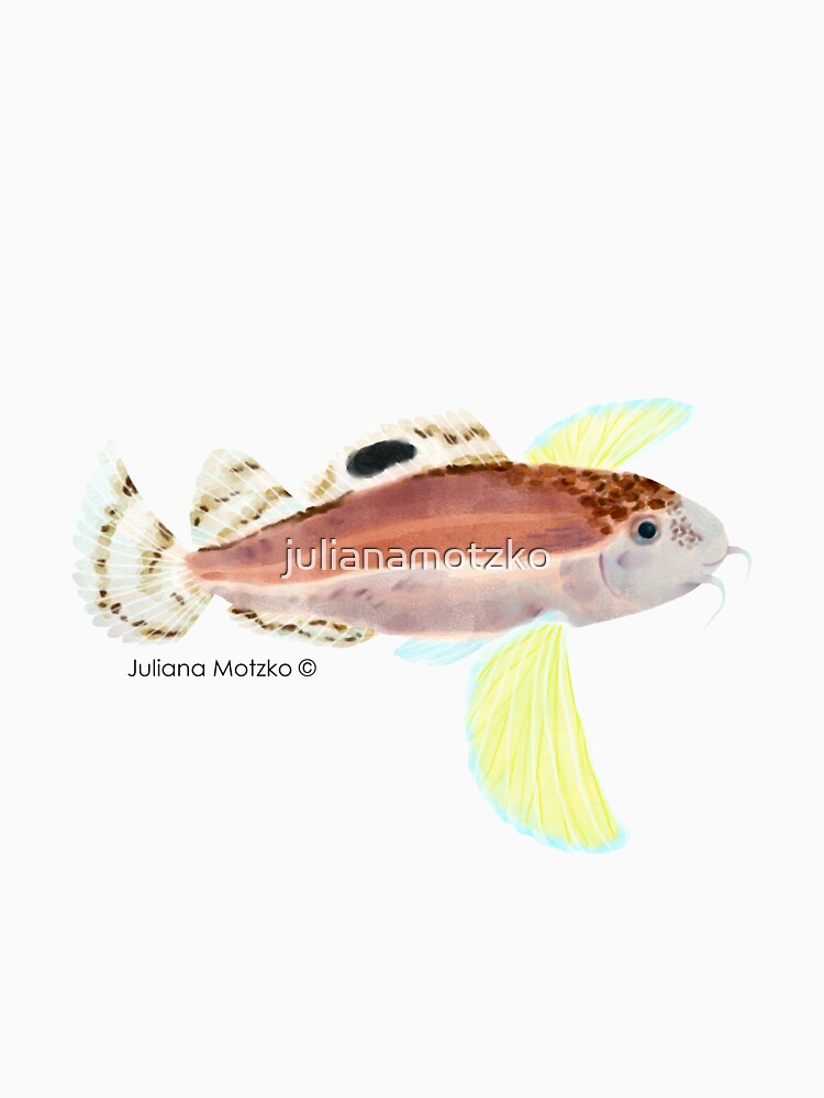 Ocellated Waspfish by julianamotzko