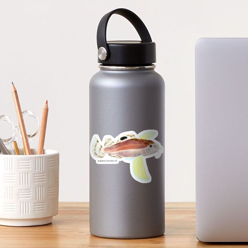 Ocellated Waspfish Sticker
