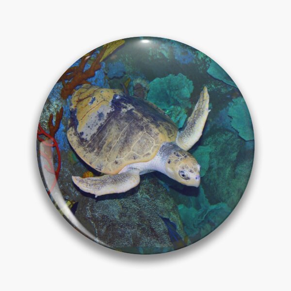 Item preview, Kemp's Ridley Sea Turtle designed and sold by Savannah Gibbs.
