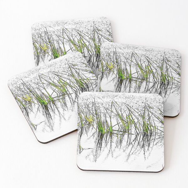 Item preview, Reeds designed and sold by Paul Finnegan.