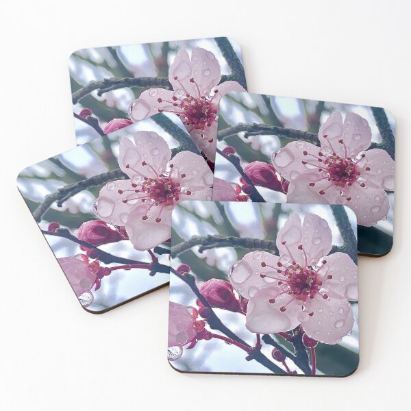 Item preview, Cherry Blosoms designed and sold by Lauren1235.
