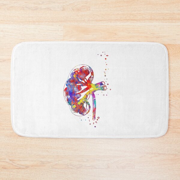 Item preview, Kidney section, human anatomy, urology, kidney designed and sold by Rosaliartbook.