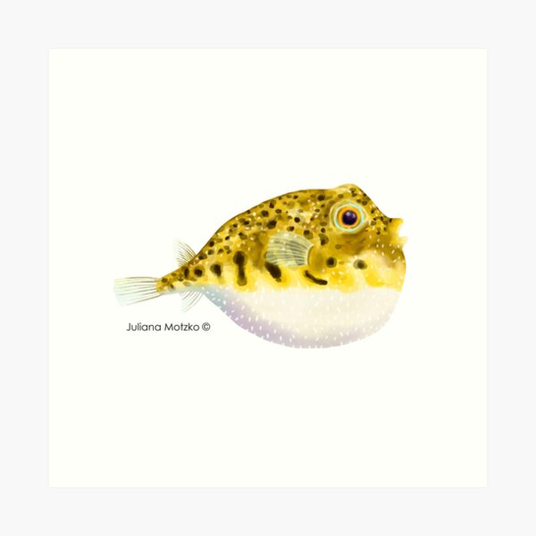 Pufferfish Art Print