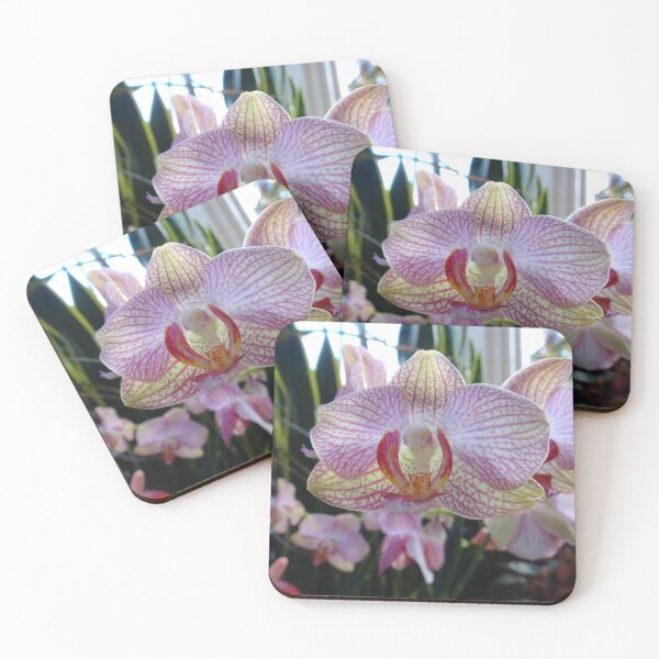 Item preview, Beautiful pink orchids designed and sold by cuisinecat2.