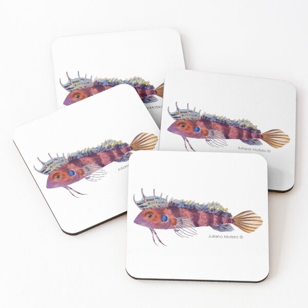 Item preview, Quillfin Blenny Fish designed and sold by julianamotzko.