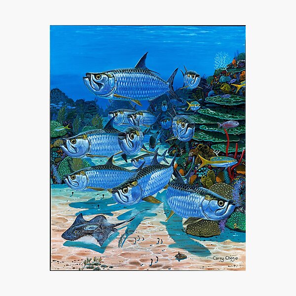 Item preview, Tarpon Alley  designed and sold by Carey Chen.