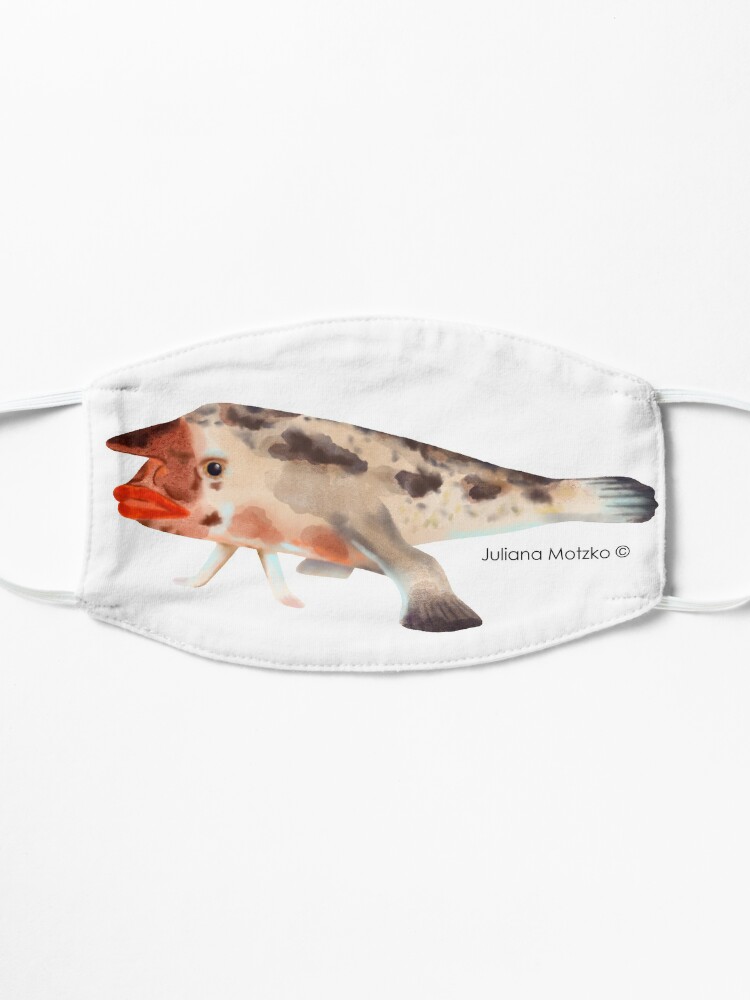 Alternate view of Redlipped Batfish Mask