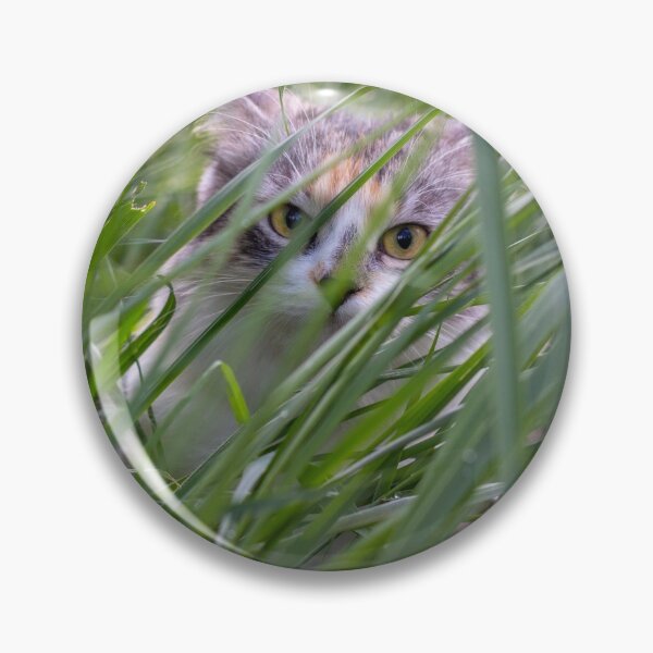 Item preview, Cute kitten hiding in tall grass designed and sold by Pokofoto.