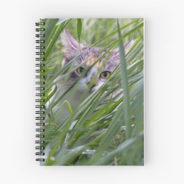 Item preview, Cute kitten hiding in tall grass designed and sold by Pokofoto.
