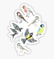 Illustrated Birds Sticker