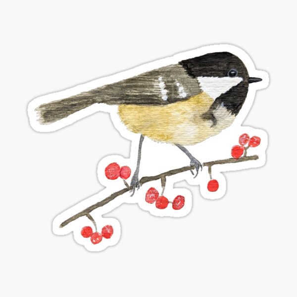 Chickadee Sticker