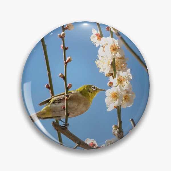 Item preview, Japanese White-Eye designed and sold by PhotoArt by Joan Carroll.