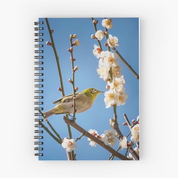 Item preview, Japanese White-Eye designed and sold by PhotoArt by Joan Carroll.