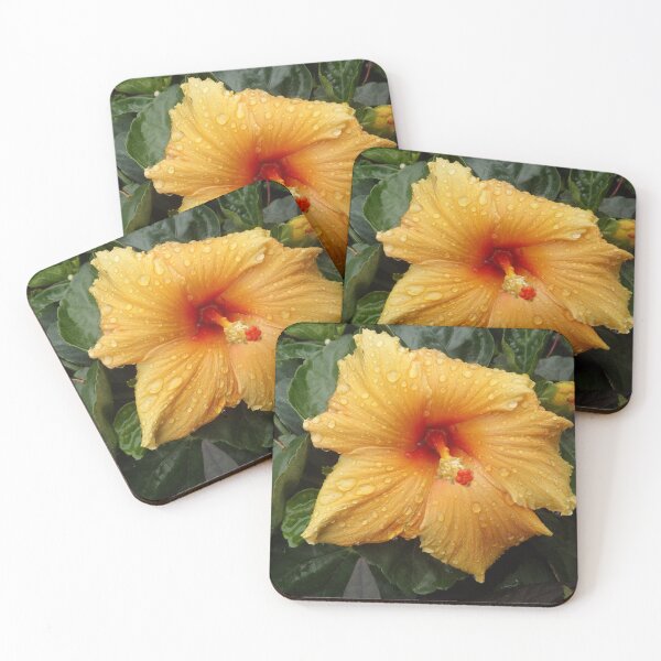Item preview, Flower After a Rain, Jersey City, New Jersey designed and sold by lenspiro.