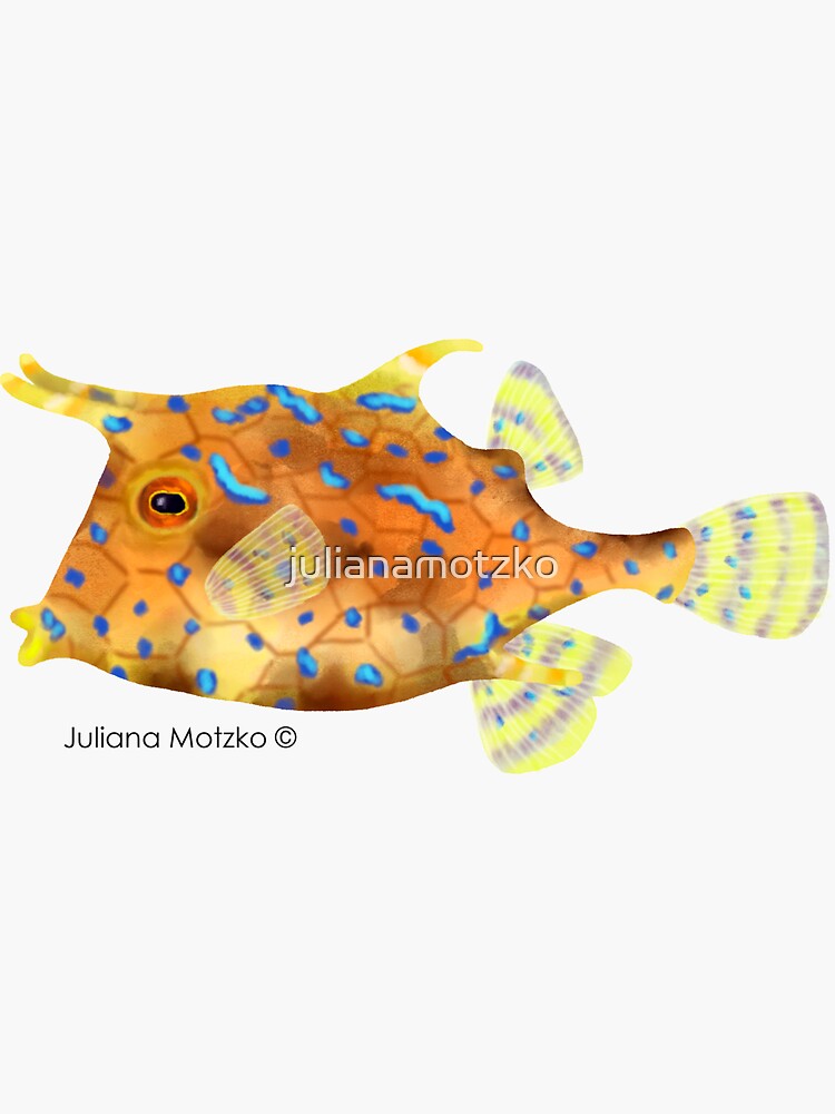 Thornback Cowfish by julianamotzko