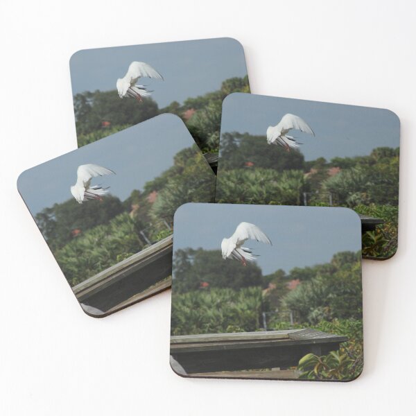 Item preview, Cleared for Take Off designed and sold by gtallman.