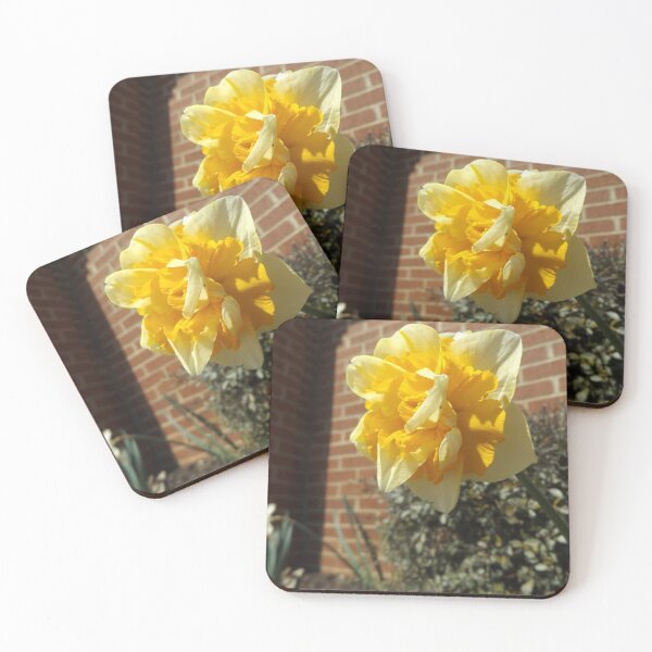 Item preview, Jonquil designed and sold by This and That.