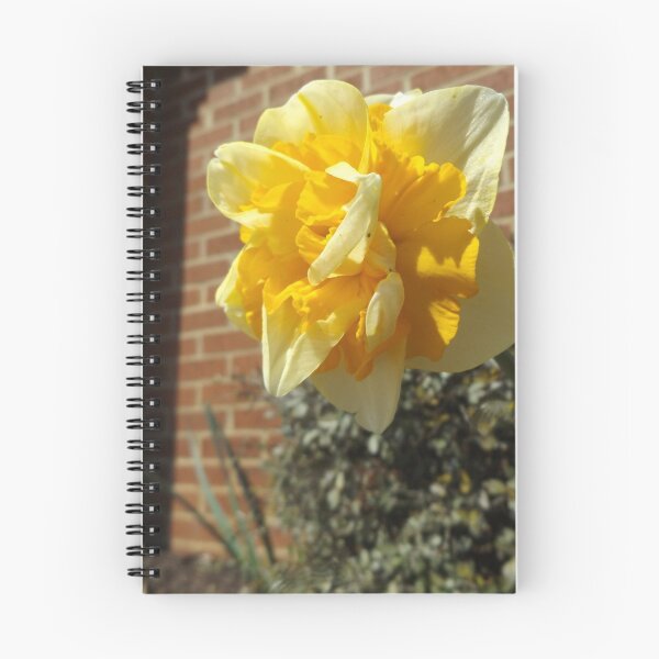 Item preview, Jonquil designed and sold by This and That.