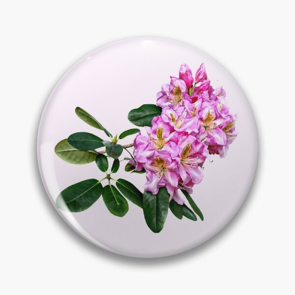 Item preview, Pale Pink Rhododendron designed and sold by Susan Savad.