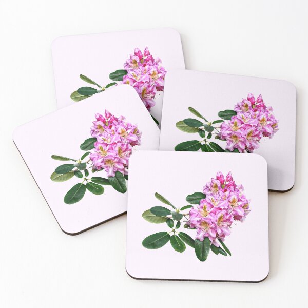 Item preview, Pale Pink Rhododendron designed and sold by Susan Savad.