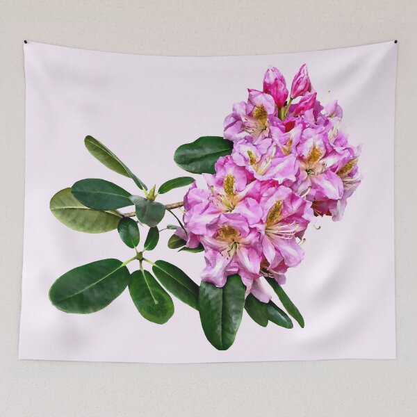 Item preview, Pale Pink Rhododendron designed and sold by Susan Savad.