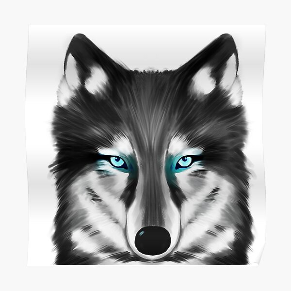 Póster «Lobo blanco y negro con ojos azules» de lillykdesigns | Redbubble