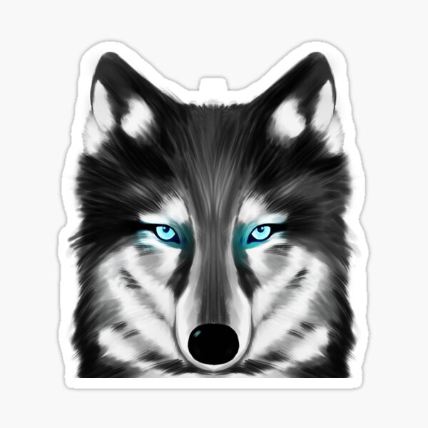 Pegatina «Lobo blanco y negro con ojos azules» de lillykdesigns | Redbubble