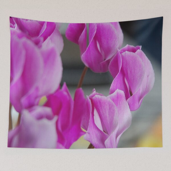 Item preview, Pink Cyclamen designed and sold by lizdomett.