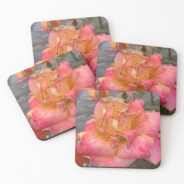 Item preview, Photograph of gorgeous flowers in Los Feliz, California designed and sold by MasonAlec.
