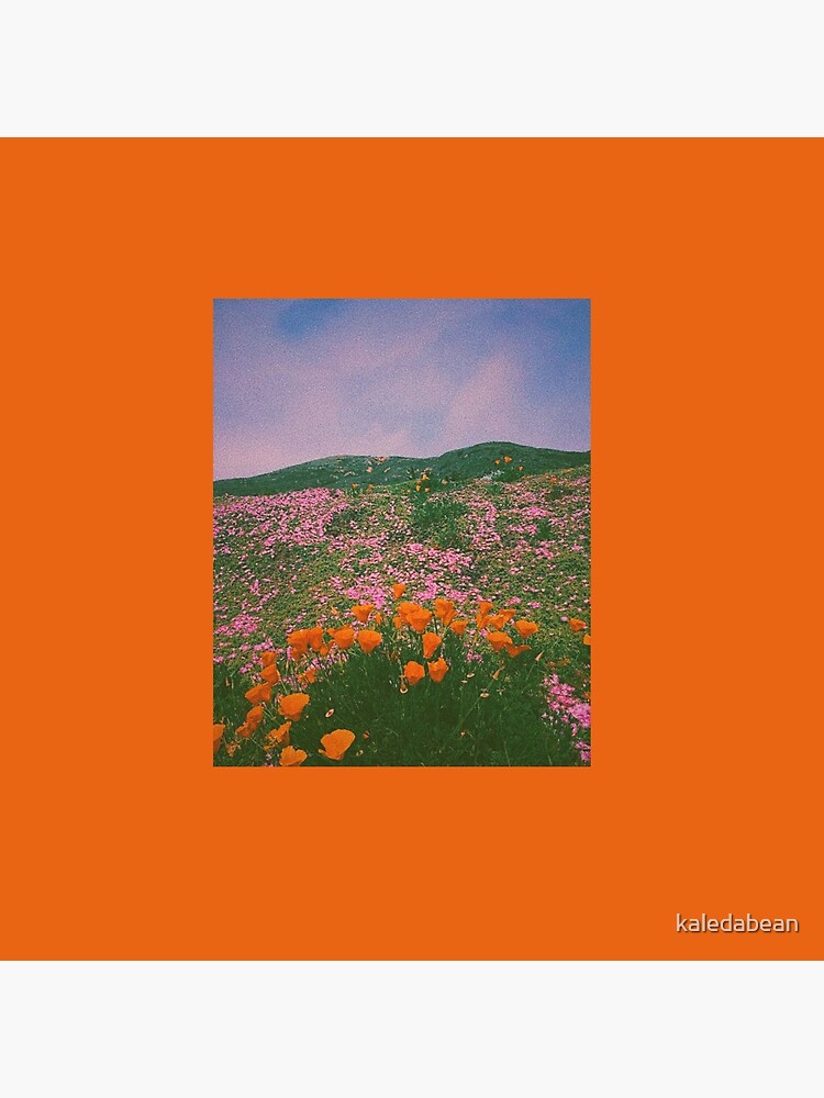 Orange Field Of Tulips Poppies Soft Grunge Aesthetic Flowers Greeting Card By Kaledabean Redbubble You can also upload and share your favorite grunge aesthetic wallpapers. redbubble