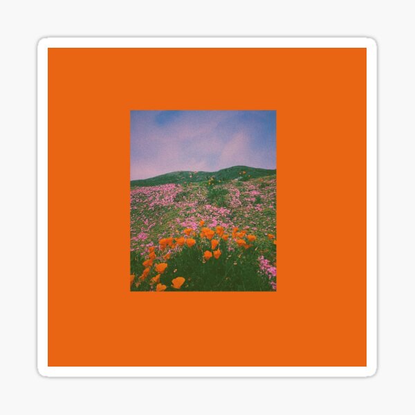 Aperçu de l'œuvre champ orange de tulipes coquelicots doux grunge fleurs esthétiques créée et vendue par kaledabean.