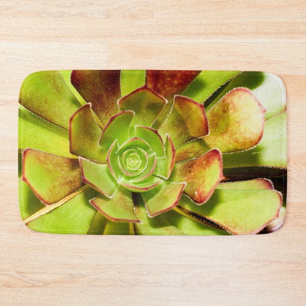 Item preview, Aeonium Evergreen Succulent designed and sold by FOLK ART FUSION by heidiannemorris.