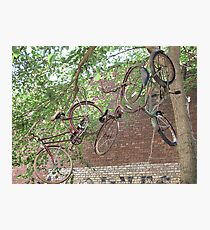 Bike Hangout Photographic Print