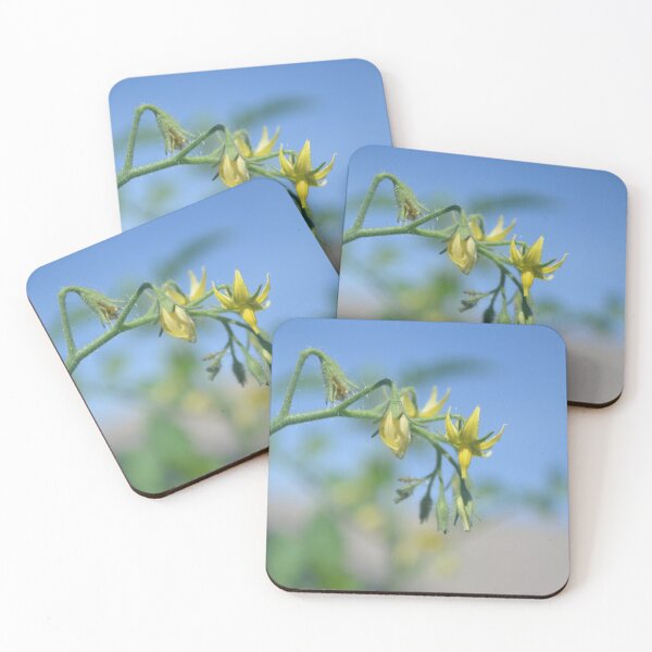 Item preview, Squash Blossom Blooms designed and sold by This and That.