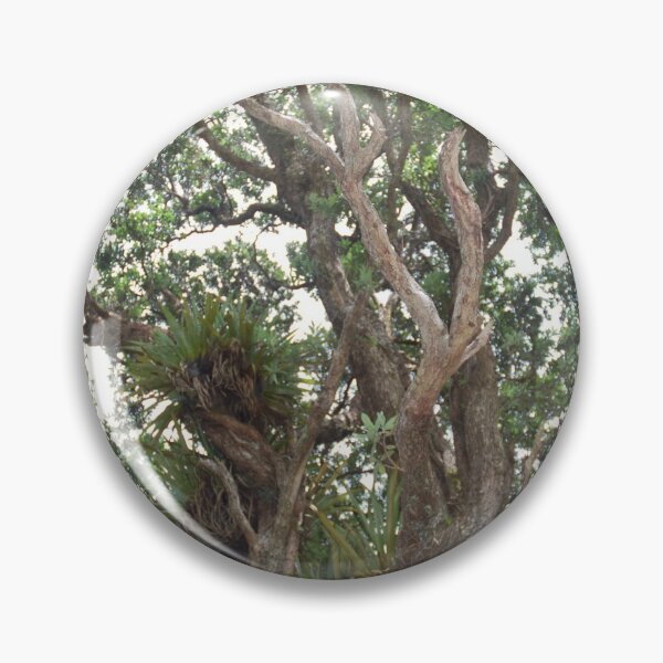 Item preview, Canopy of Pohutukawa designed and sold by lizdomett.