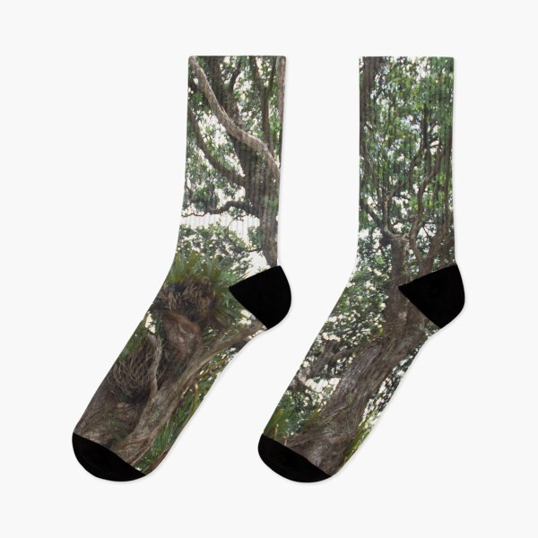Item preview, Canopy of Pohutukawa designed and sold by lizdomett.