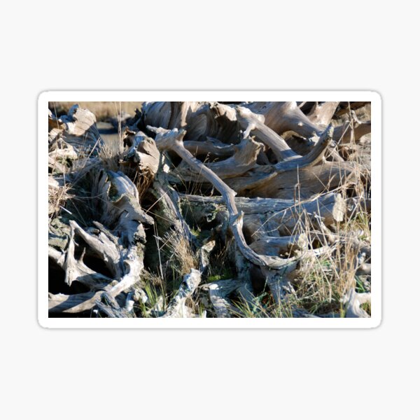 Item preview, Drifted Roots designed and sold by Deborah Singer.
