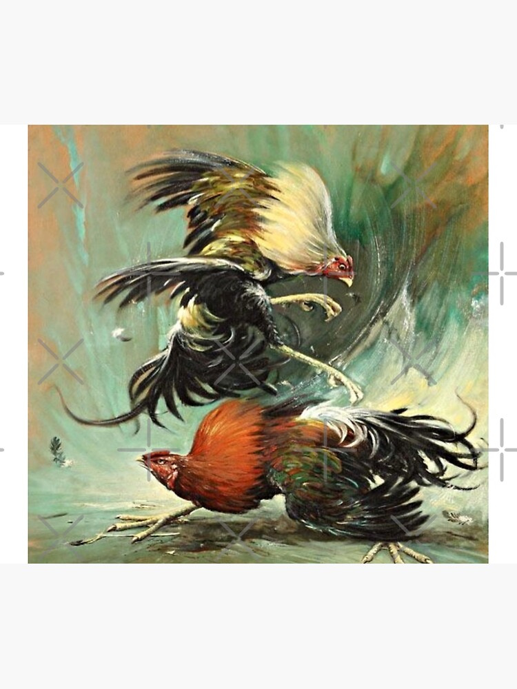 Pelea de gallos, Rooster fight, cock fight by GetRight209