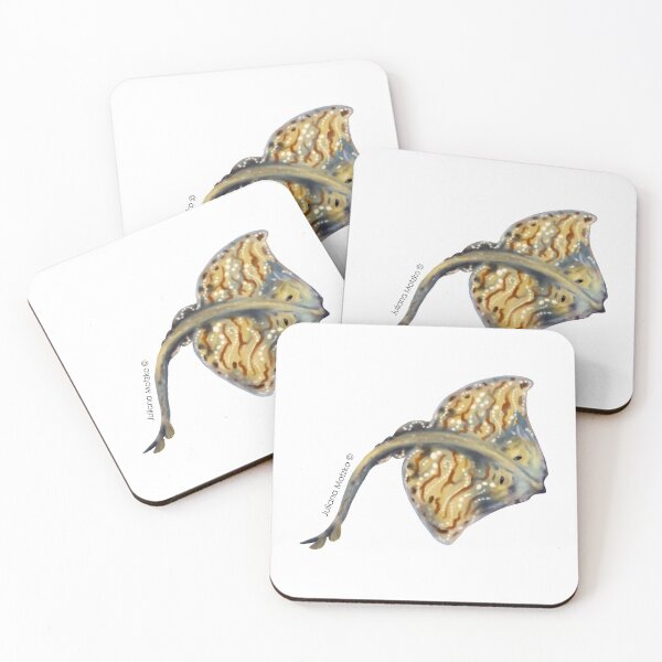 Item preview, Undulate Ray designed and sold by julianamotzko.