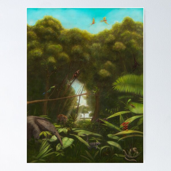 featuring endangered animals in the amazon rain forest Poster