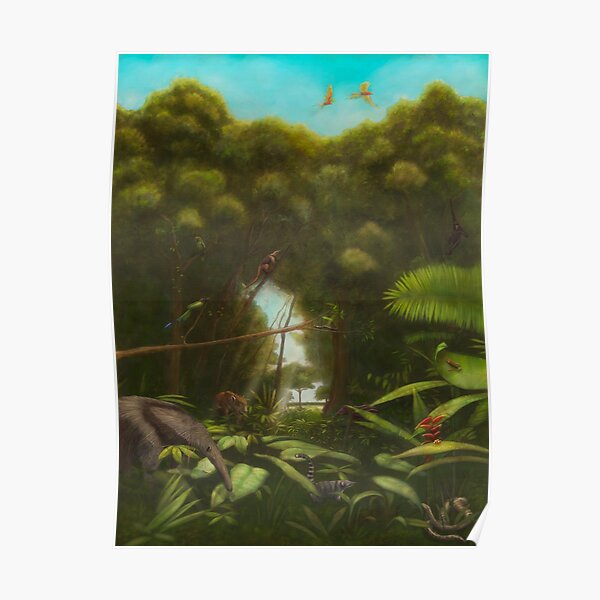  featuring endangered animals in the amazon rain forest Poster